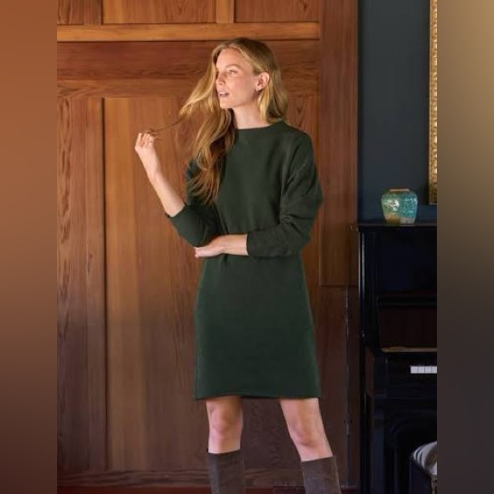 Frank & Eileen Izzie Sweatshirt Dress Evergreen Large NWT